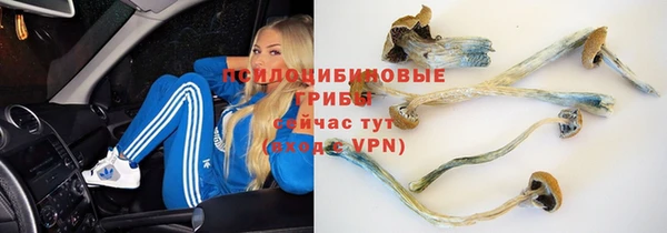 ешки Каменногорск